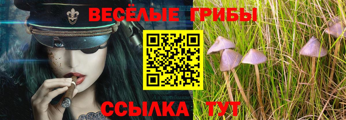 Саранск  Галлюциногенные грибы GOLDEN TEACHER  Вход с VPN 