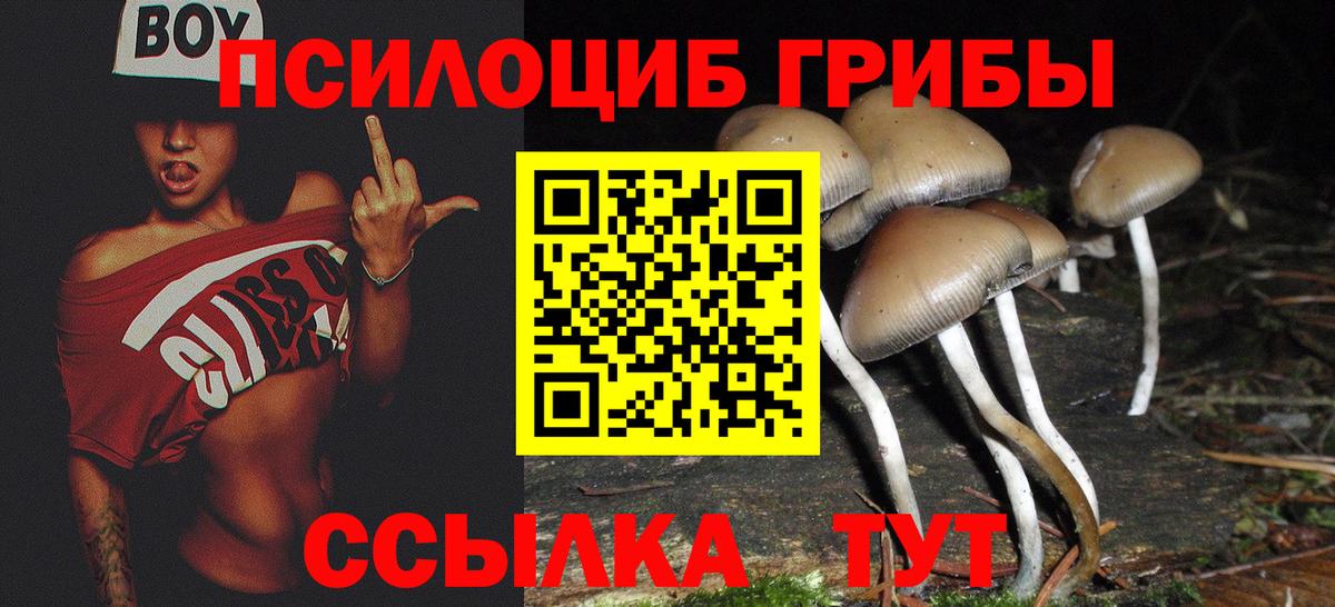 Псилоцибиновые грибы мицелий Саранск